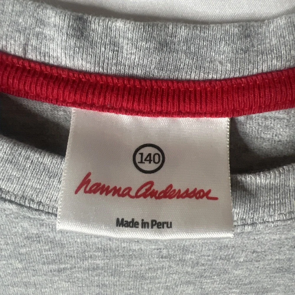 Hanna Anderson 140 (10) Boys Christmas Shirt‎ T-Rex Dinosaur Santa Hat Gray